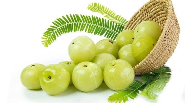 Indian gooseberry ( Awla)