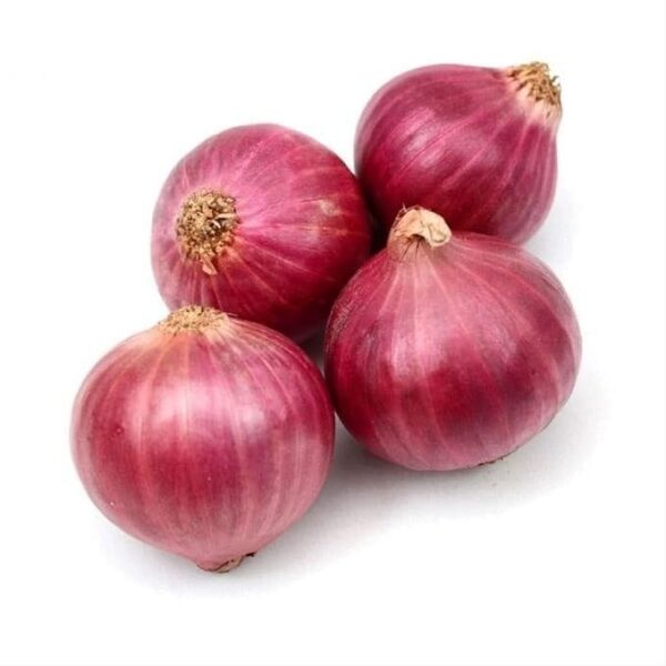 Onion