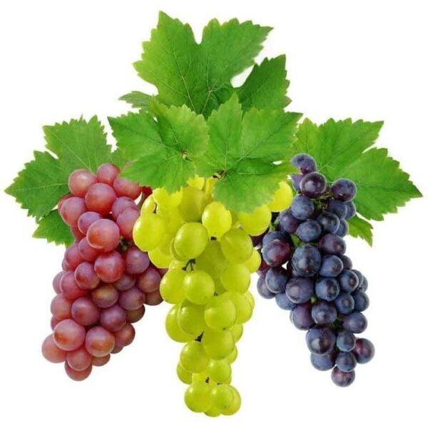 Grapes