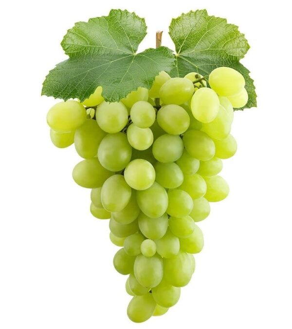 Grapes - Image 3